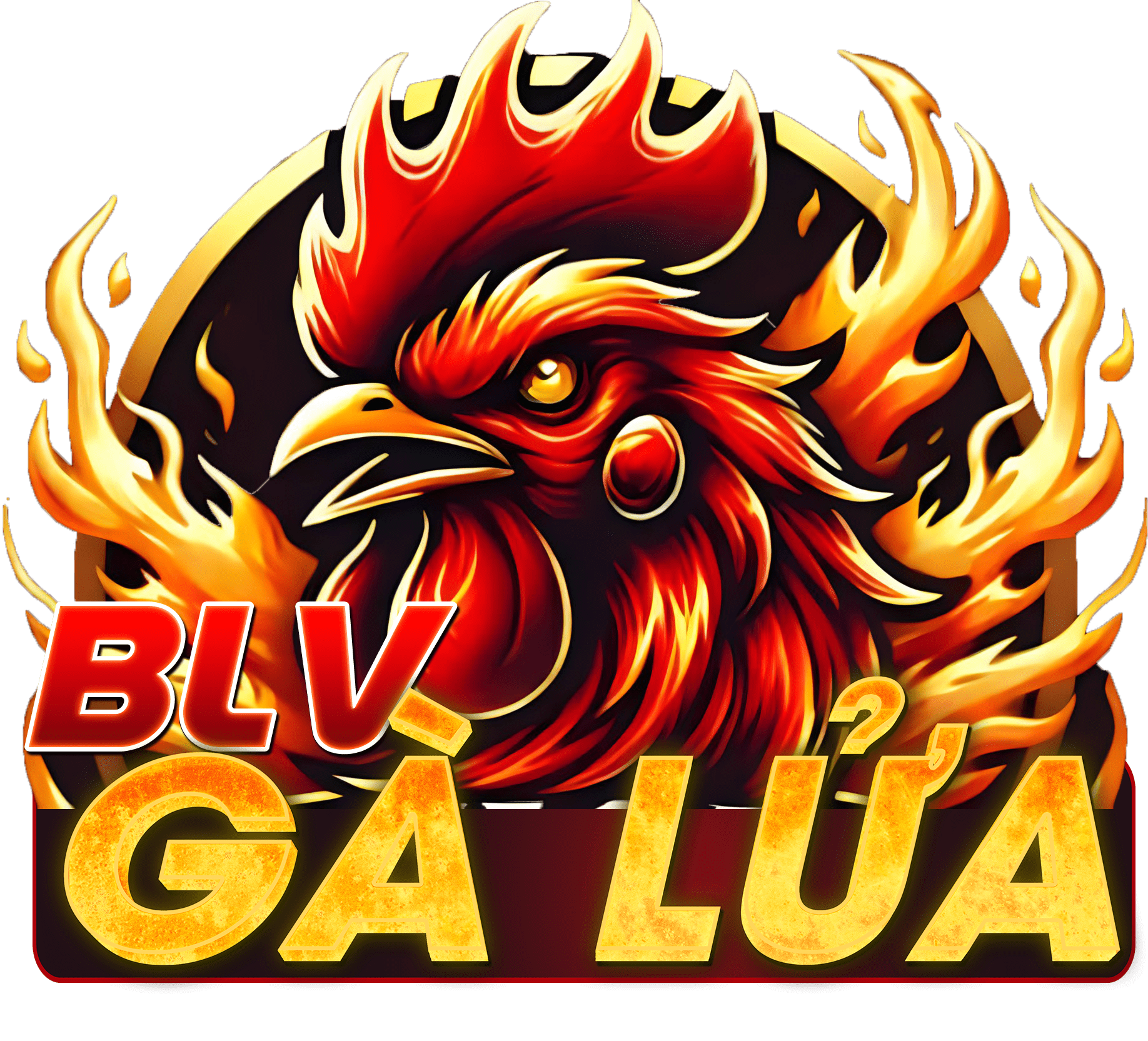BLV Gà Lửa