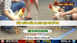 TRẬN 20 CPC5 NGÀY 22/08/2025