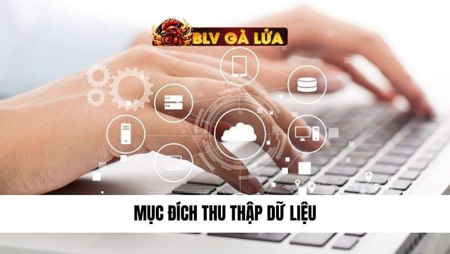 mục đích thu thập dữ liệu