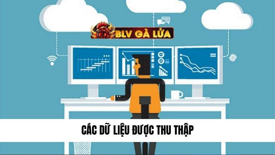 thu thập dữ liệu