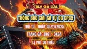 THÔNG BÁO GIẢI GÀ TỰ DO BỒ CPC5 NGÀY 5/11/2025