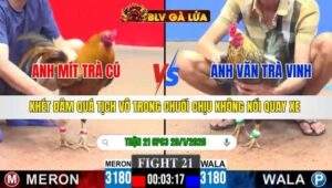 TRẬN 21 CPC3 NGÀY 29/1/2026