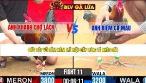 TRẬN 11 CPC2 NGÀY 27/3/2026