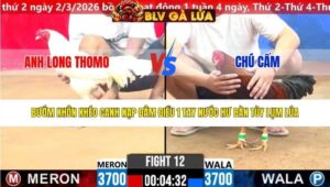 TRẬN 12 CPC2 NGÀY 11/3/2026