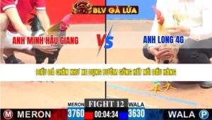 TRẬN 12 CPC3 NGÀY 22/3/2026