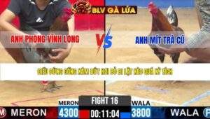 TRẬN 16 CPC2 NGÀY 27/3/2026