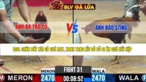 TRẬN 31 CPC2 NGÀY 27/3/2026