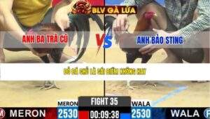 TRẬN 35 CPC2 NGÀY 27/3/2026