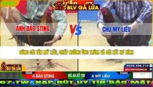 TRẬN 36 CPC2 NGÀY 27/3/2026