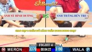 Trận 4 bồ CPC3 31/3/2026