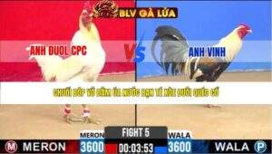 TRẬN 5 CPC2 NGÀY 28/3/2026