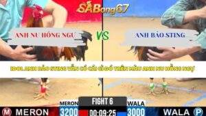 Trận 6 bồ CPC2 31/3/2026