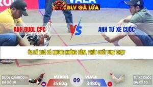 TRẬN 9 XÀ XÍA NGÀY 26/3/2026