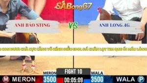 Trận 10 bồ CPC2 7/4/2026