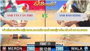 Trận 11 bồ CPC2 7/4/2026