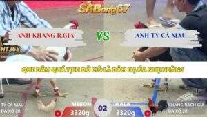 Trận 2 bồ Xà Xía 7/4/2026