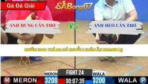Trận 24 Bồ CPC2 3/4/2026