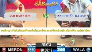 Trận 3 bồ CPC2 8/4/2026