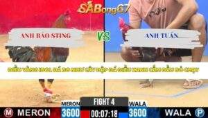 Trận 4 Bồ CPC2 7/4/2026