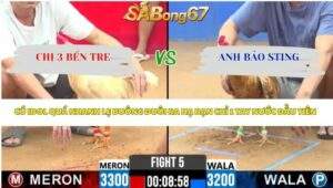 Trận 5 bồ CPC2 8/4/2026