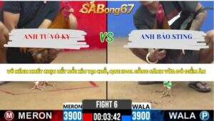 Trận 6 Bồ CPC2 3/4/2026