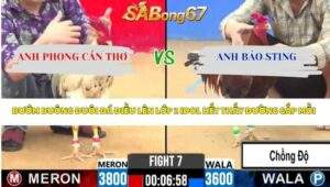 Trận 7 bồ CPC2 7/4/2026