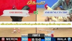 Trận 8 Bồ CPC2 3/4/2026