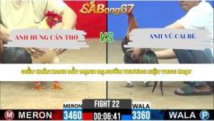 GÀ ÚA CỦA ANH HƯNG CẦN THƠ XỔ 1 TỶ