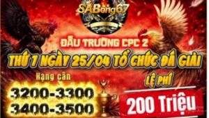 Giải Gà Tự Do Bồ C2 Ngày 25/4/2025