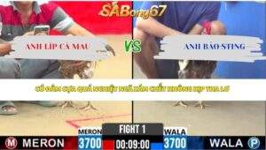 Trận 1 bồ CPC2 29/4/2026