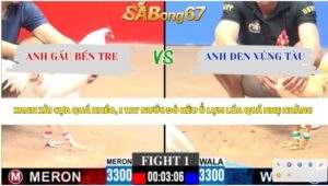 Trận 1 bồ CPC3 12/4/2026