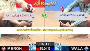 Trận 1 bồ CPC3 19/4/2026