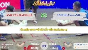 Trận 1 bồ Xà Xía 14/4/2026