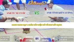 Trận 1 bồ Xà Xía 18/4/2026