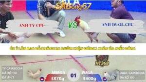 Trận 1 bồ Xà Xía 23/4/2026