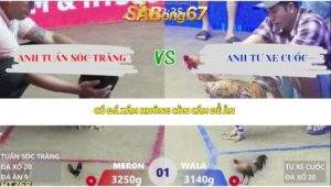 Trận 1 bồ Xà Xía 30/4/2026