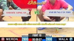 Trận 10 Bồ CPC2 21/4/2026