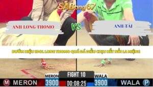 Trận 10 Bồ CPC2 24/4/2026