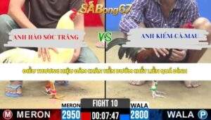 Trận 10 Bồ CPC2 25/4/2026