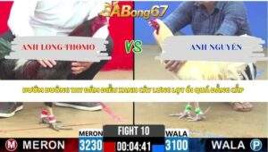 Trận 10 bồ CPC2 28/4/2026
