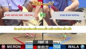 Trận 10 bồ CPC2 29/4/2026