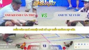 Trận 13 bồ Xà Xía 13/4/2026