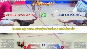 Trận 10 bồ Xà Xía 22/4/2026
