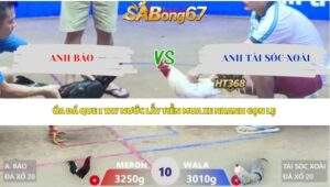 Trận 10 bồ Xà Xía 29/4/2026