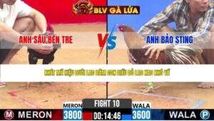 Trận 10 Bồ CPC2 17/4/2026
