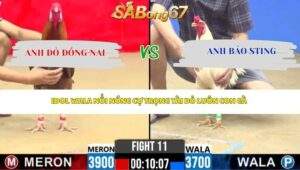 Trận 11 Bồ CPC2 25/4/2026