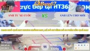 Trận 11 bồ Xà Xía 15/4/2026
