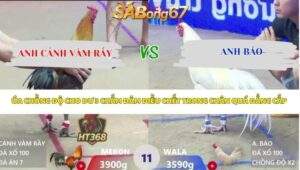 Trận 11 bồ Xà Xía 16/4/2026