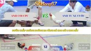 Trận 12 bồ Xà Xía 30/4/2026
