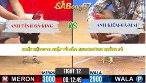 Trận 12 Bồ CPC2 17/4/2026